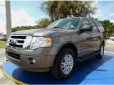 2013 Sterling Gray Ford Expedition XLT #94175689