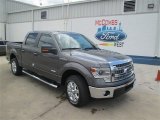 2014 Sterling Grey Ford F150 XLT SuperCrew #94175610