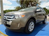 2014 Mineral Gray Ford Edge SEL #94219067