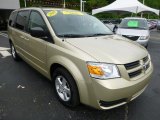 2010 Dodge Grand Caravan White Gold Pearl