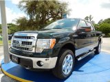 2014 Green Gem Ford F150 XLT SuperCrew 4x4 #94360724