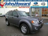 2012 Sterling Gray Metallic Ford Escape XLT 4WD #94461650
