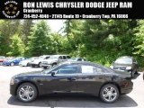 2014 Dodge Charger R/T Plus AWD