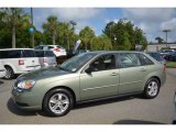 Silver Green Metallic Chevrolet Malibu in 2005