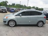 Ice Storm Ford C-Max in 2014