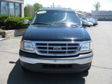 1999 Black Ford F150 XLT Extended Cab #9475414