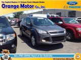 2013 Sterling Gray Metallic Ford Escape SEL 2.0L EcoBoost 4WD #94855915