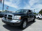 2005 Black Dodge Dakota SLT Quad Cab #9506291