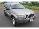 2004 Light Pewter Metallic Jeep Grand Cherokee Laredo 4x4 #95208582