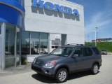 2005 Pewter Pearl Honda CR-V Special Edition 4WD #9507572
