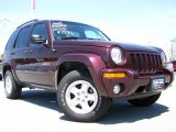 2004 Deep Molten Red Pearl Jeep Liberty Limited 4x4 #9501306