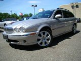 Platinum Metallic Jaguar X-Type in 2005