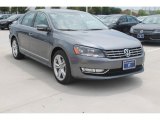 2014 Platinum Gray Metallic Volkswagen Passat TDI SEL Premium #95363912