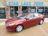 2014 Sunset Ford Fusion S #95391320
