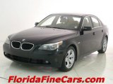 2006 Jet Black BMW 5 Series 525i Sedan #9189702