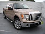 2011 Pale Adobe Metallic Ford F150 XLT SuperCrew #95468932