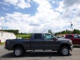 2015 Magnetic Ford F250 Super Duty XLT Crew Cab 4x4 #95468689