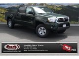 Spruce Green Mica Toyota Tacoma in 2014