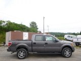 2014 Ford F150 STX SuperCrew 4x4