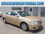 2010 Toyota Camry LE