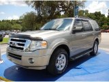 2009 Ford Expedition XLT Front 3/4 View