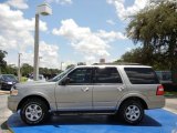2009 Ford Expedition XLT Exterior