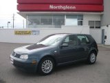 2005 Blue Anthracite Metallic Volkswagen Golf GLS TDI 4 Door #9556488