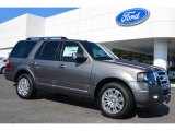 2014 Sterling Gray Ford Expedition Limited #95804171