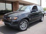 2006 Jet Black BMW X5 3.0i #9327469