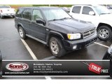 2004 Super Black Nissan Pathfinder LE Platinum 4x4 #95945980