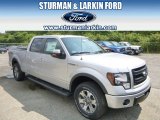 2014 Ingot Silver Ford F150 FX4 SuperCrew 4x4 #96045263