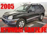 2005 Black Obsidian Hyundai Santa Fe GLS 4WD #96199437