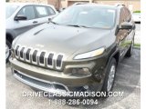 2015 ECO Green Pearl Jeep Cherokee Limited 4x4 #96223037