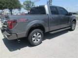 2014 Sterling Grey Ford F150 FX4 SuperCrew 4x4 #96248953