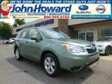 2015 Jasmine Green Metallic Subaru Forester 2.5i Premium #96249375