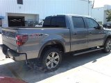 2014 Sterling Grey Ford F150 FX4 SuperCrew 4x4 #96332881