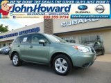 2015 Jasmine Green Metallic Subaru Forester 2.5i Limited #96420484