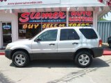 2005 Silver Metallic Ford Escape XLT V6 4WD #9633637