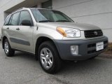 2001 Vintage Gold Toyota RAV4 4WD #9567128