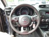 2015 Kia Soul + Steering Wheel