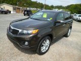 Java Brown Kia Sorento in 2011