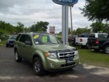 2008 Kiwi Green Metallic Ford Escape XLT #9625925