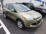 2013 Ford Escape SEL 1.6L EcoBoost 4WD