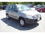 2006 Silver Moss Metallic Honda CR-V LX 4WD #9568951