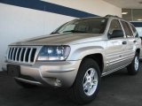 2004 Light Pewter Metallic Jeep Grand Cherokee Special Edition 4x4 #9566731