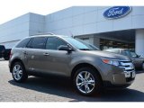 2014 Mineral Gray Ford Edge Limited #96758800