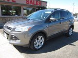 2013 Sterling Gray Metallic Ford Escape SEL 1.6L EcoBoost 4WD #96759088