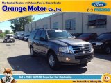 Sterling Gray Ford Expedition in 2013