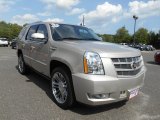 2013 Silver Coast Metallic Cadillac Escalade Premium AWD #96879695