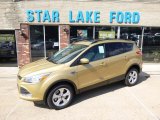 2014 Karat Gold Ford Escape SE 2.0L EcoBoost 4WD #96911623